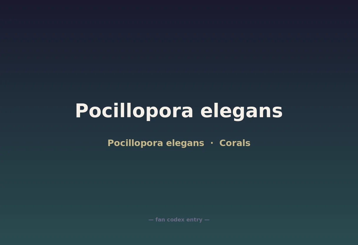 Pocillopora elegans