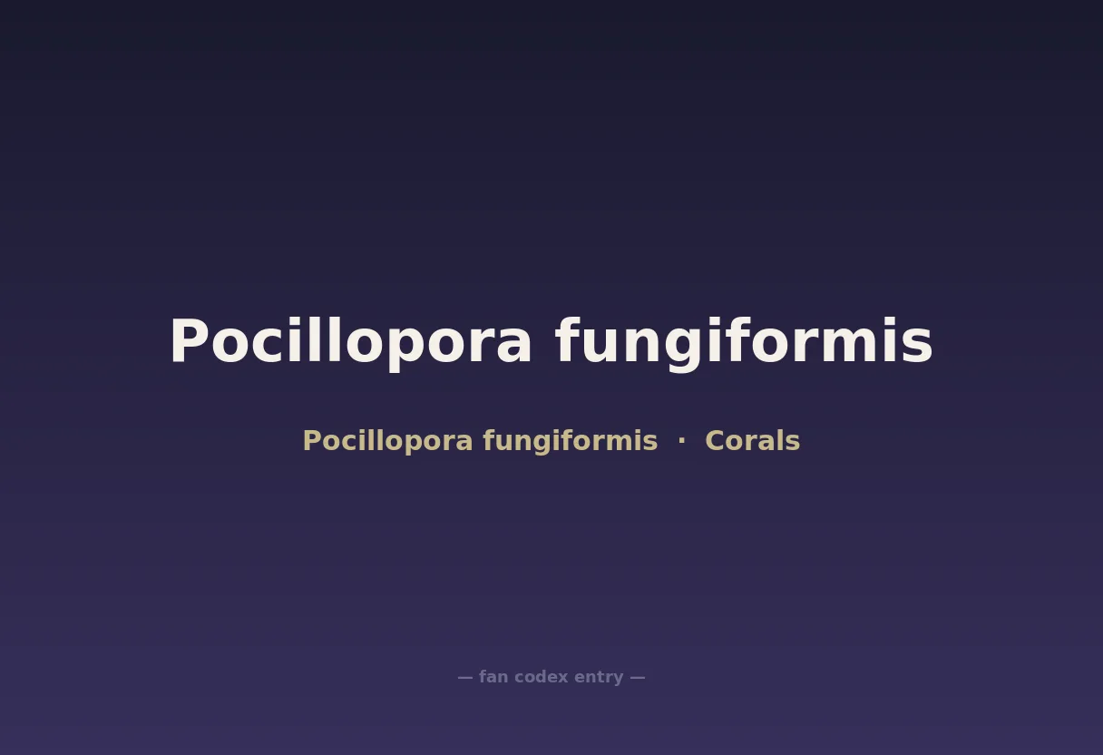 Pocillopora fungiformis
