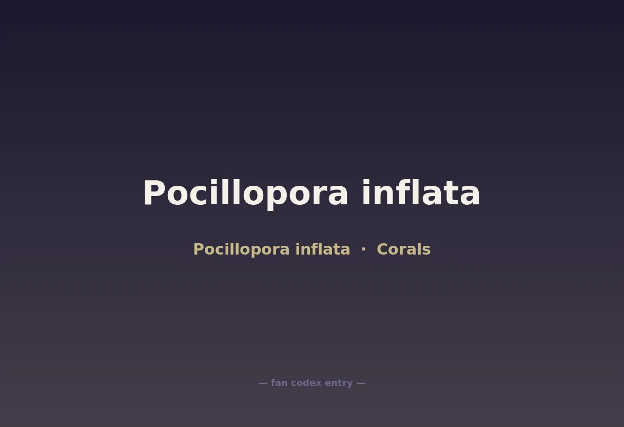 Pocillopora inflata