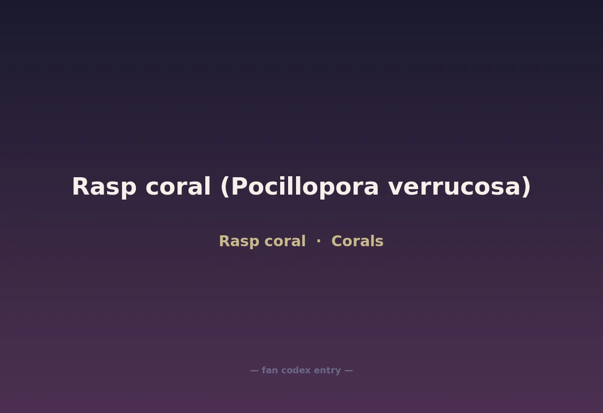 Rasp coral (Pocillopora verrucosa)