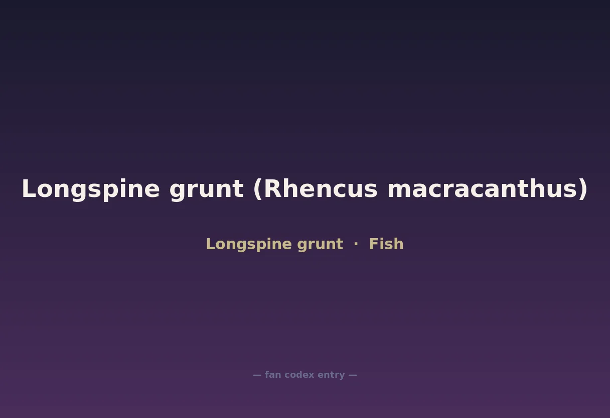 Longspine grunt (Rhencus macracanthus)
