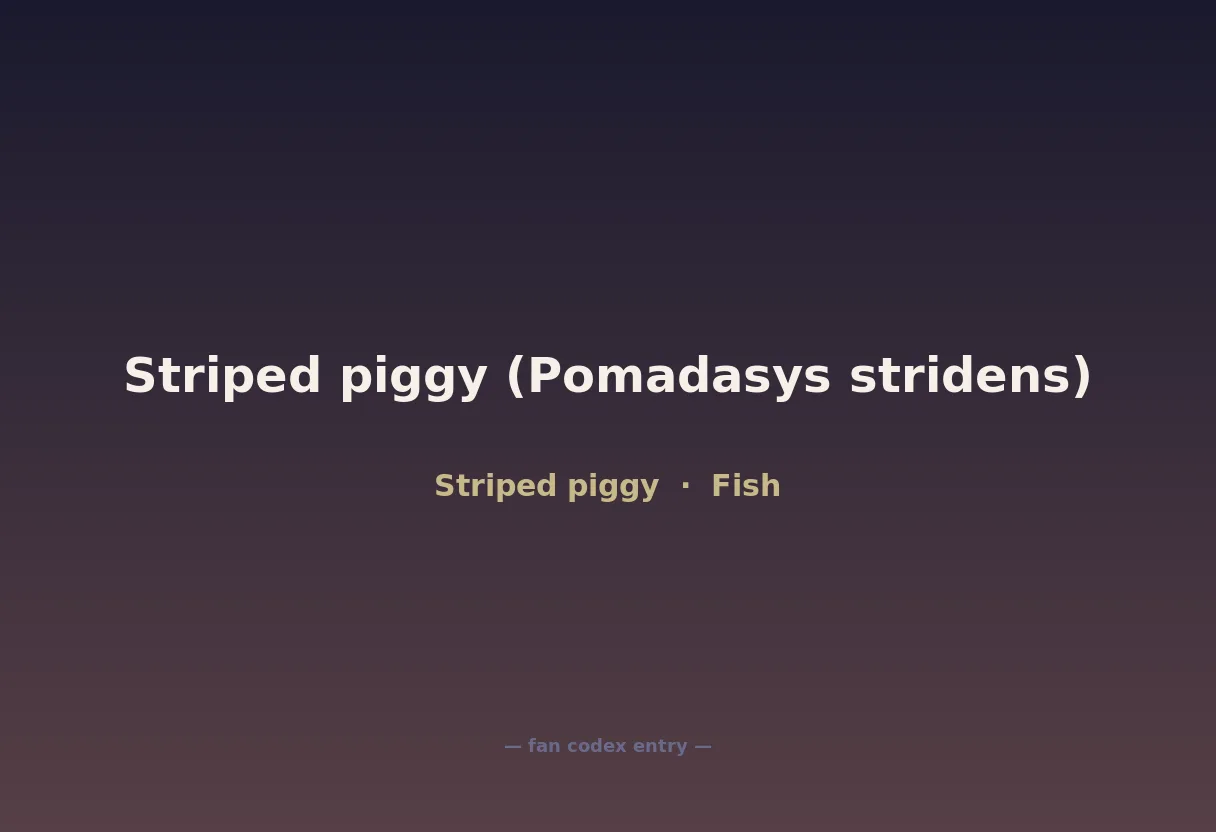 Striped piggy (Pomadasys stridens)