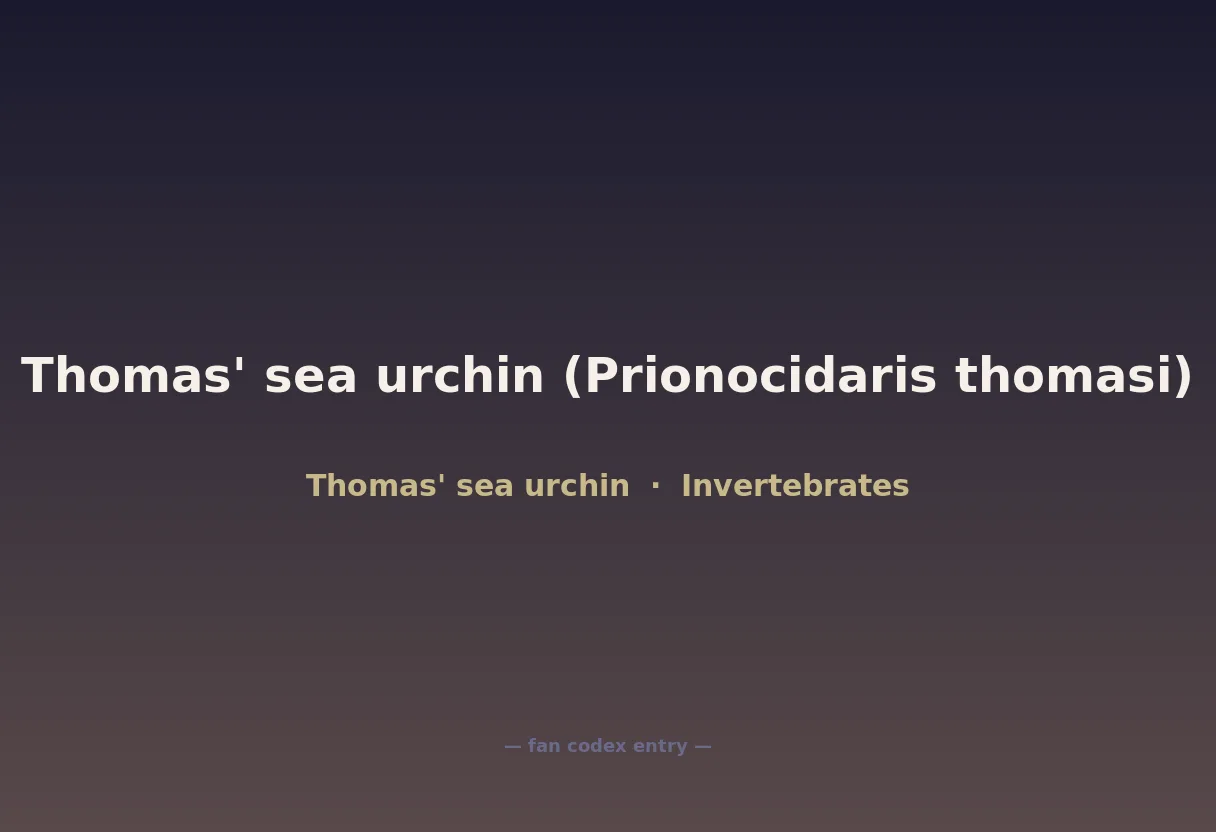 Thomas' sea urchin (Prionocidaris thomasi)