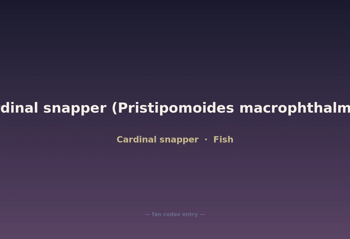 Cardinal snapper (Pristipomoides macrophthalmus)