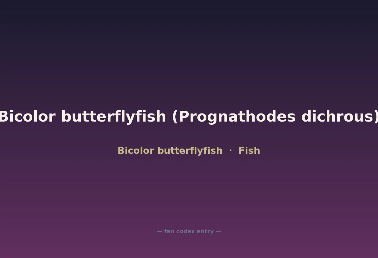 Bicolor butterflyfish (Prognathodes dichrous)