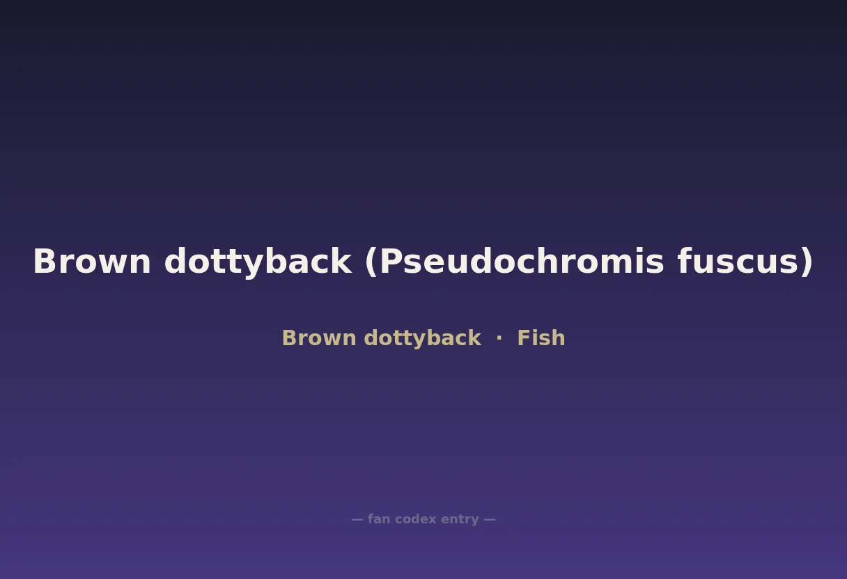 Brown dottyback (Pseudochromis fuscus)