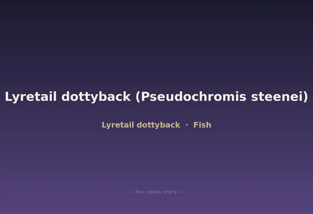 Lyretail dottyback (Pseudochromis steenei)