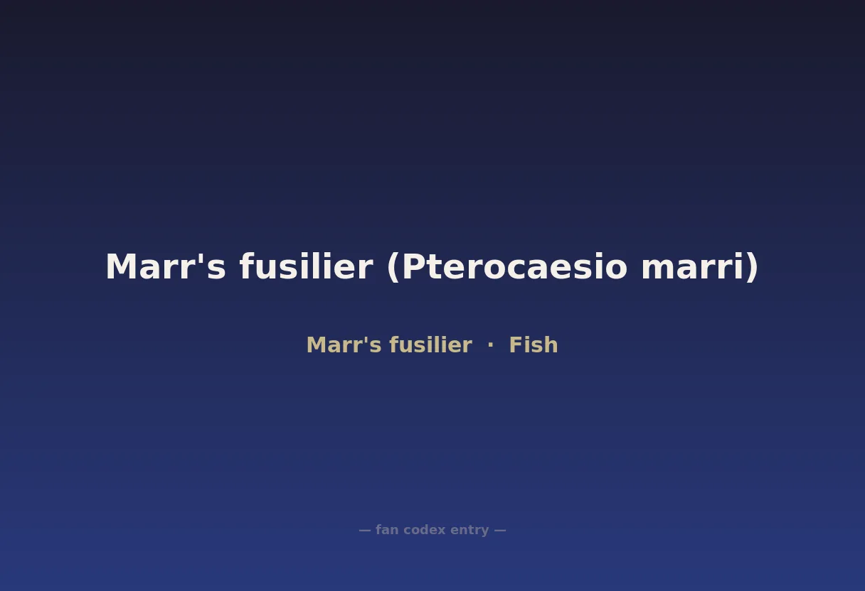 Marr's fusilier (Pterocaesio marri)