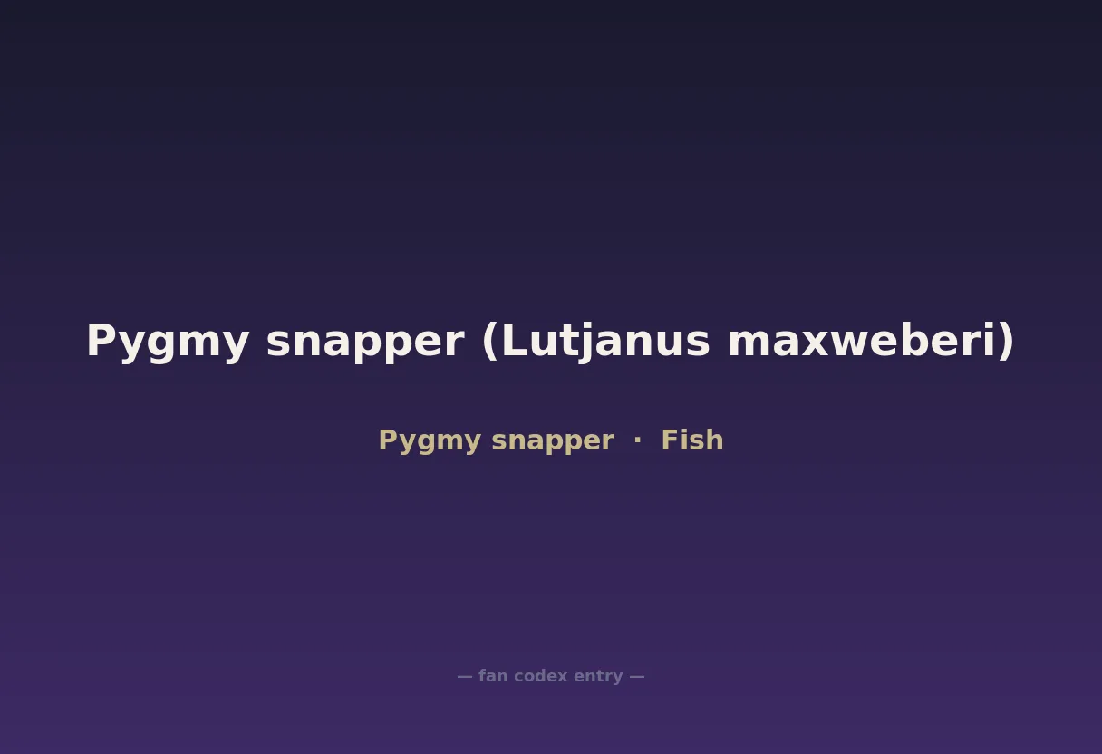 Pygmy snapper (Lutjanus maxweberi)