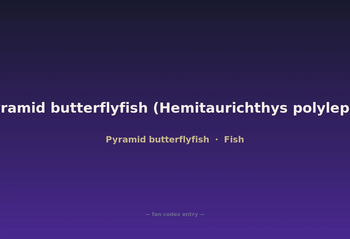 Pyramid butterflyfish (Hemitaurichthys polylepis)