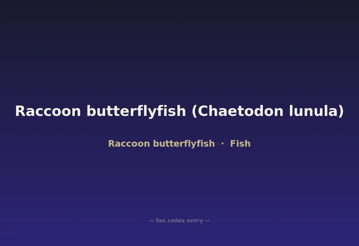 Raccoon butterflyfish (Chaetodon lunula)