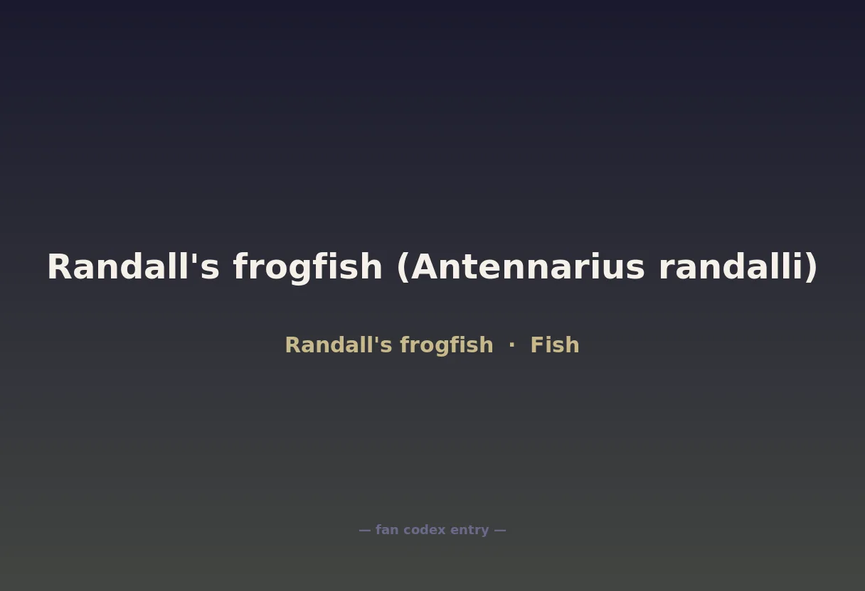 Randall's frogfish (Antennarius randalli)