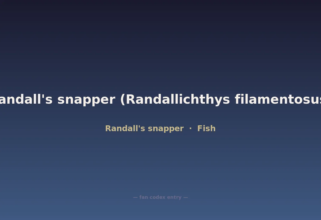 Randall's snapper (Randallichthys filamentosus)