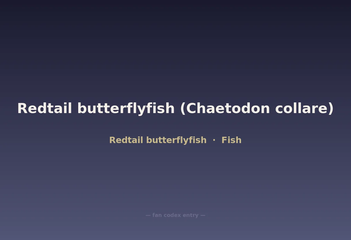 Redtail butterflyfish (Chaetodon collare)