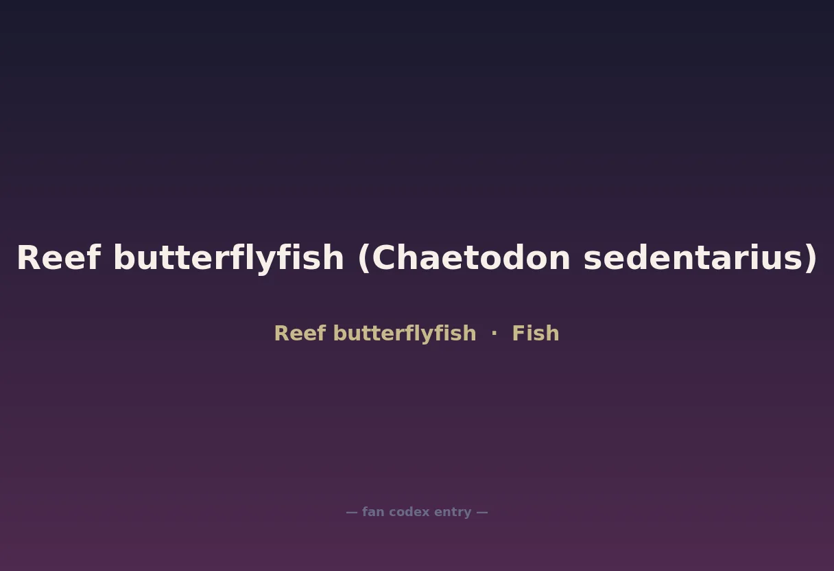 Reef butterflyfish (Chaetodon sedentarius)
