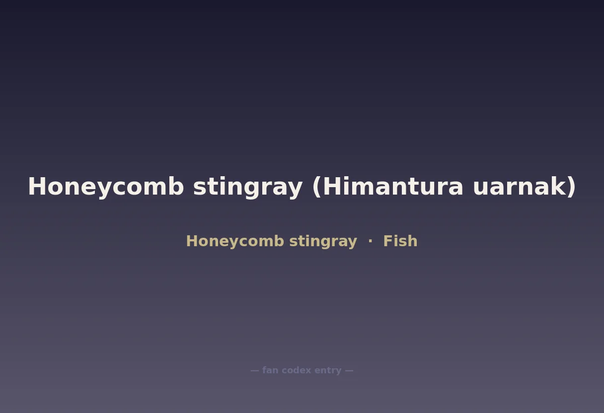 Honeycomb stingray (Himantura uarnak)