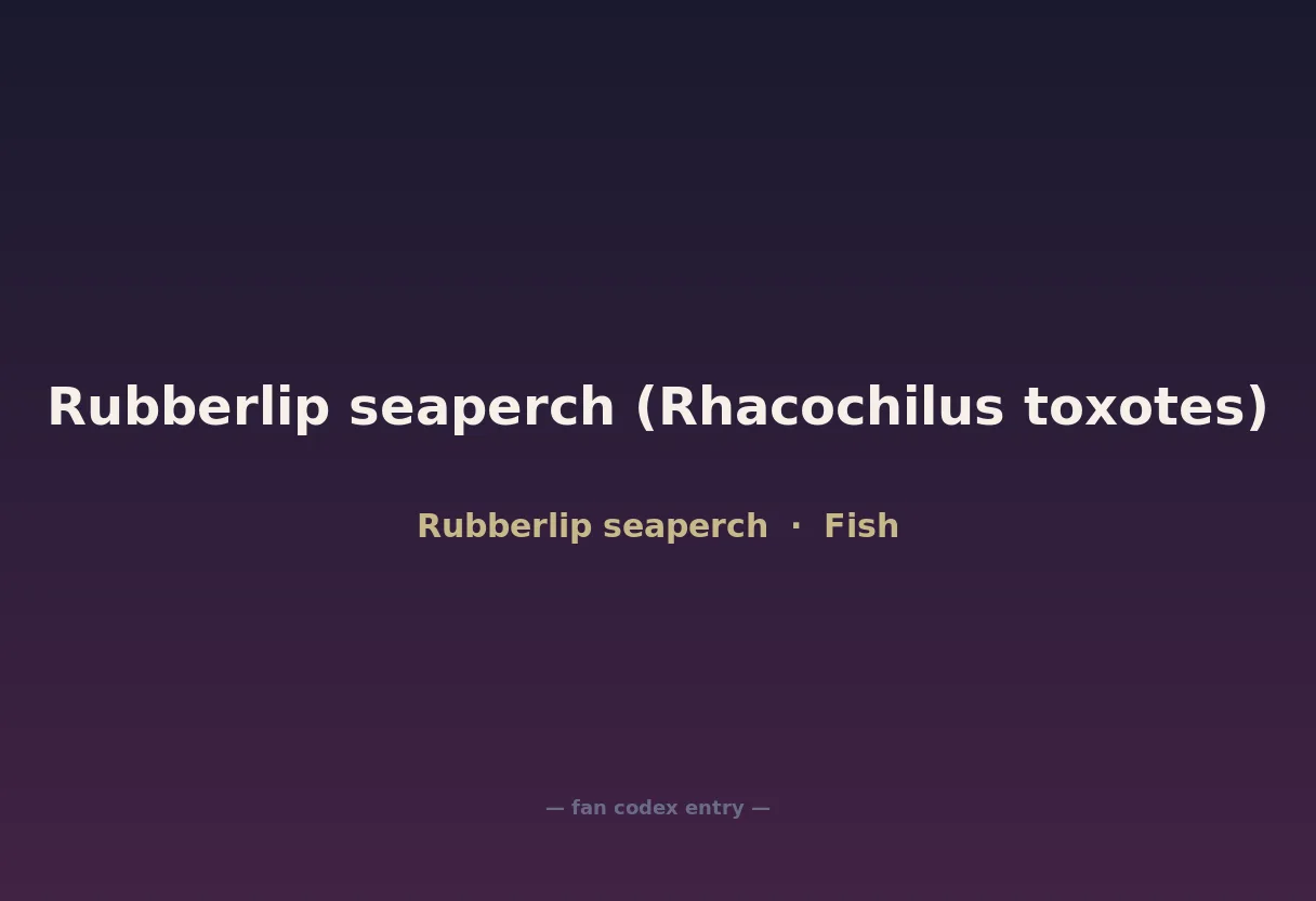 Rubberlip seaperch (Rhacochilus toxotes)