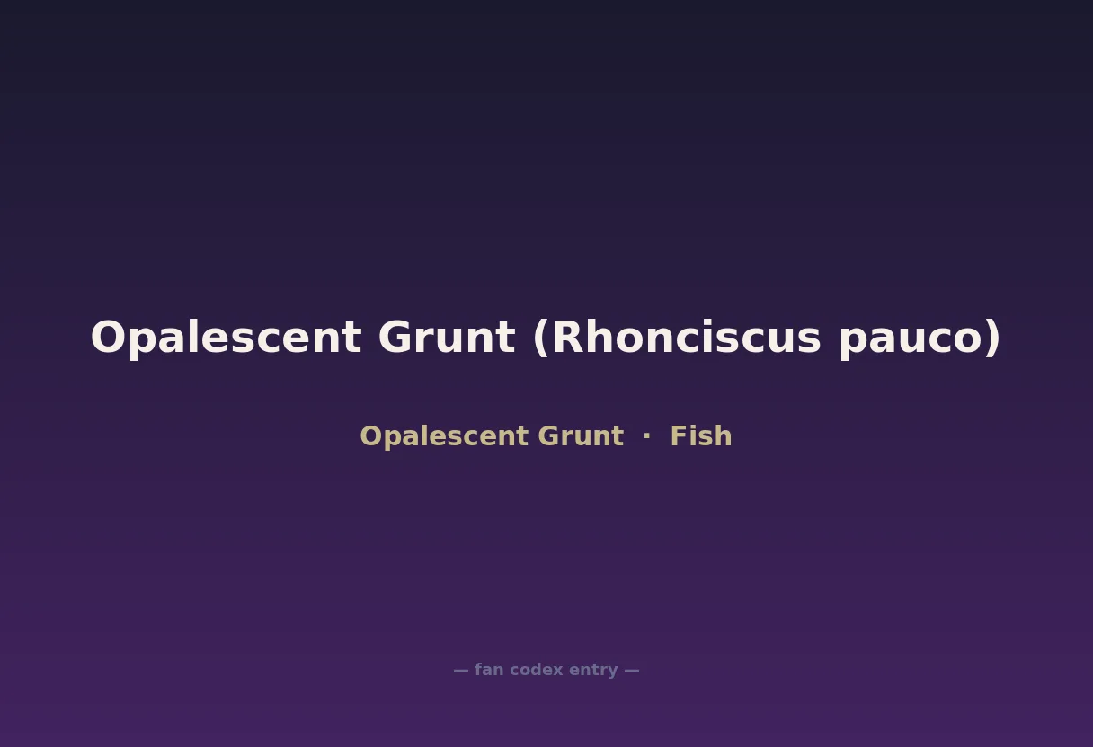 Opalescent Grunt (Rhonciscus pauco)