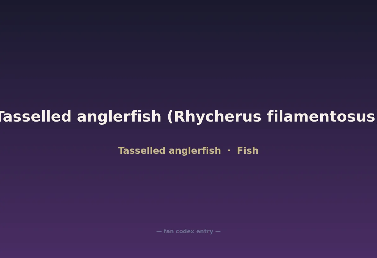 Tasselled anglerfish (Rhycherus filamentosus)