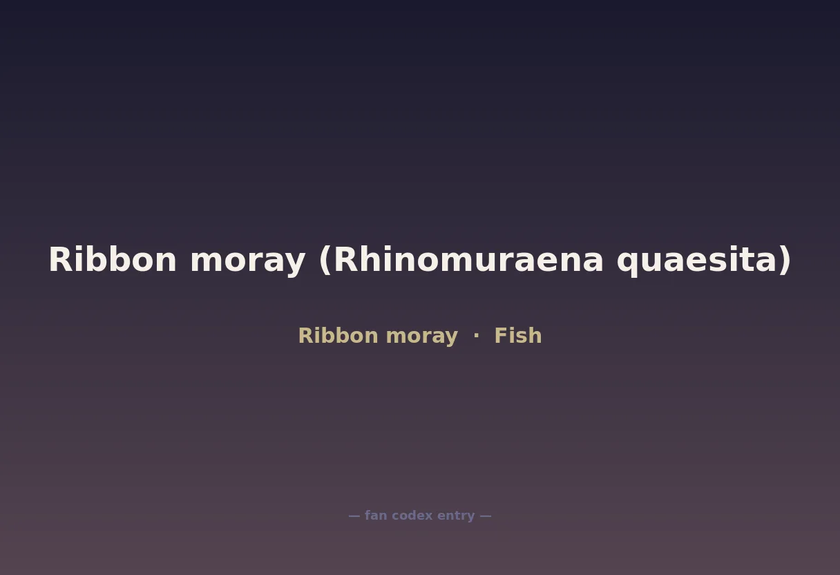 Ribbon moray (Rhinomuraena quaesita)