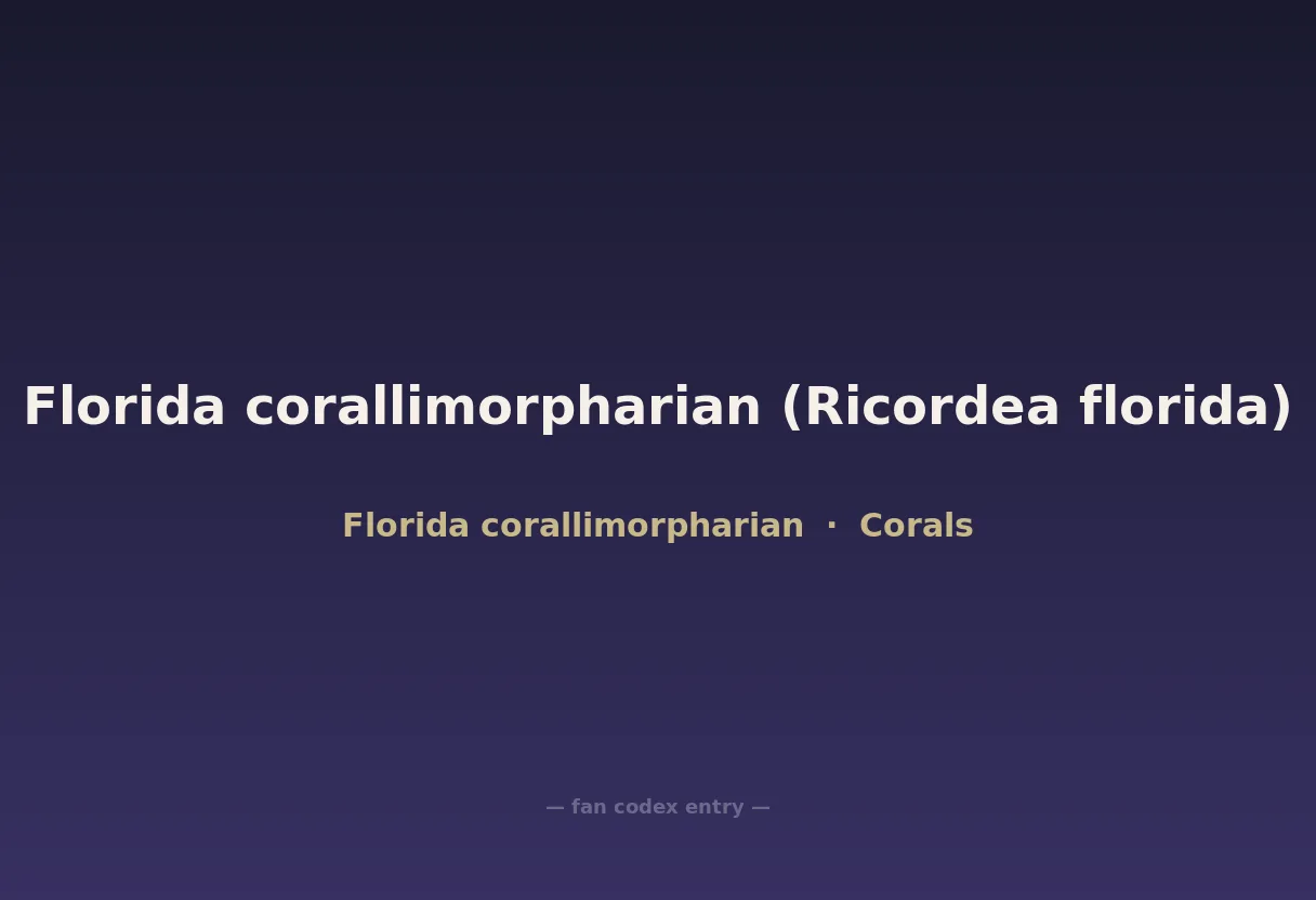 Florida corallimorpharian (Ricordea florida)
