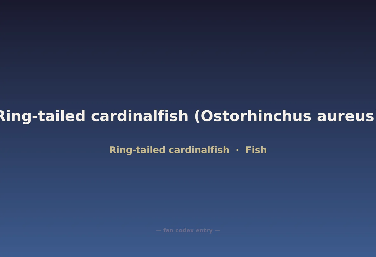 Ring-tailed cardinalfish (Ostorhinchus aureus)