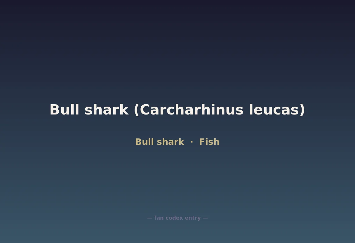 Bull shark (Carcharhinus leucas)