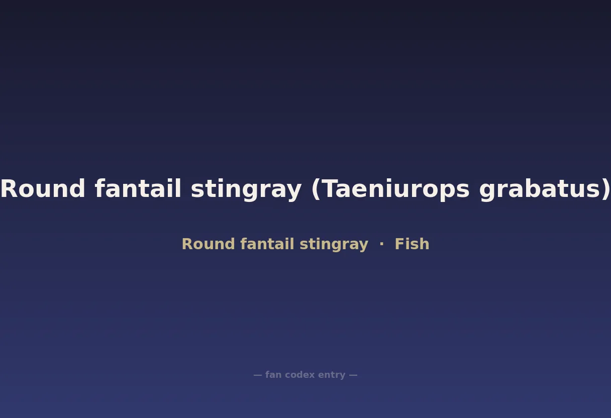 Round fantail stingray (Taeniurops grabatus)