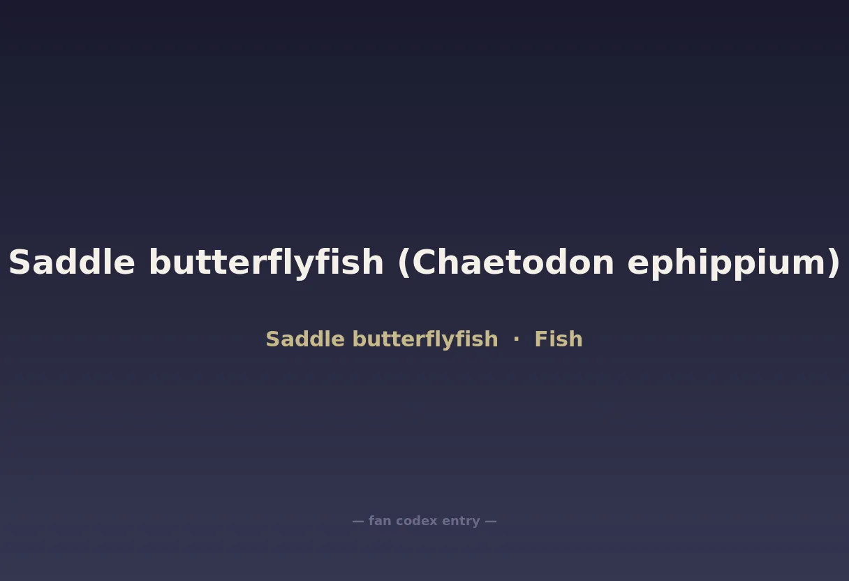 Saddle butterflyfish (Chaetodon ephippium)