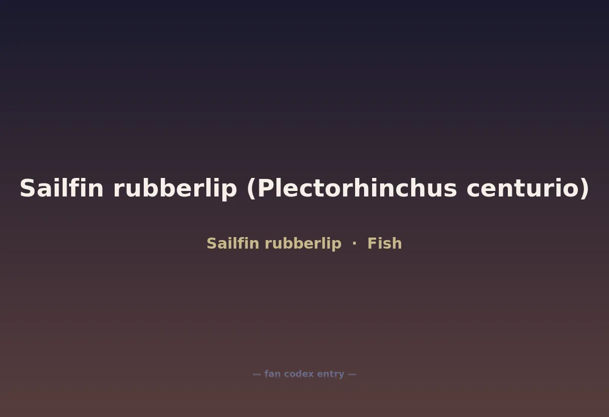 Sailfin rubberlip (Plectorhinchus centurio)