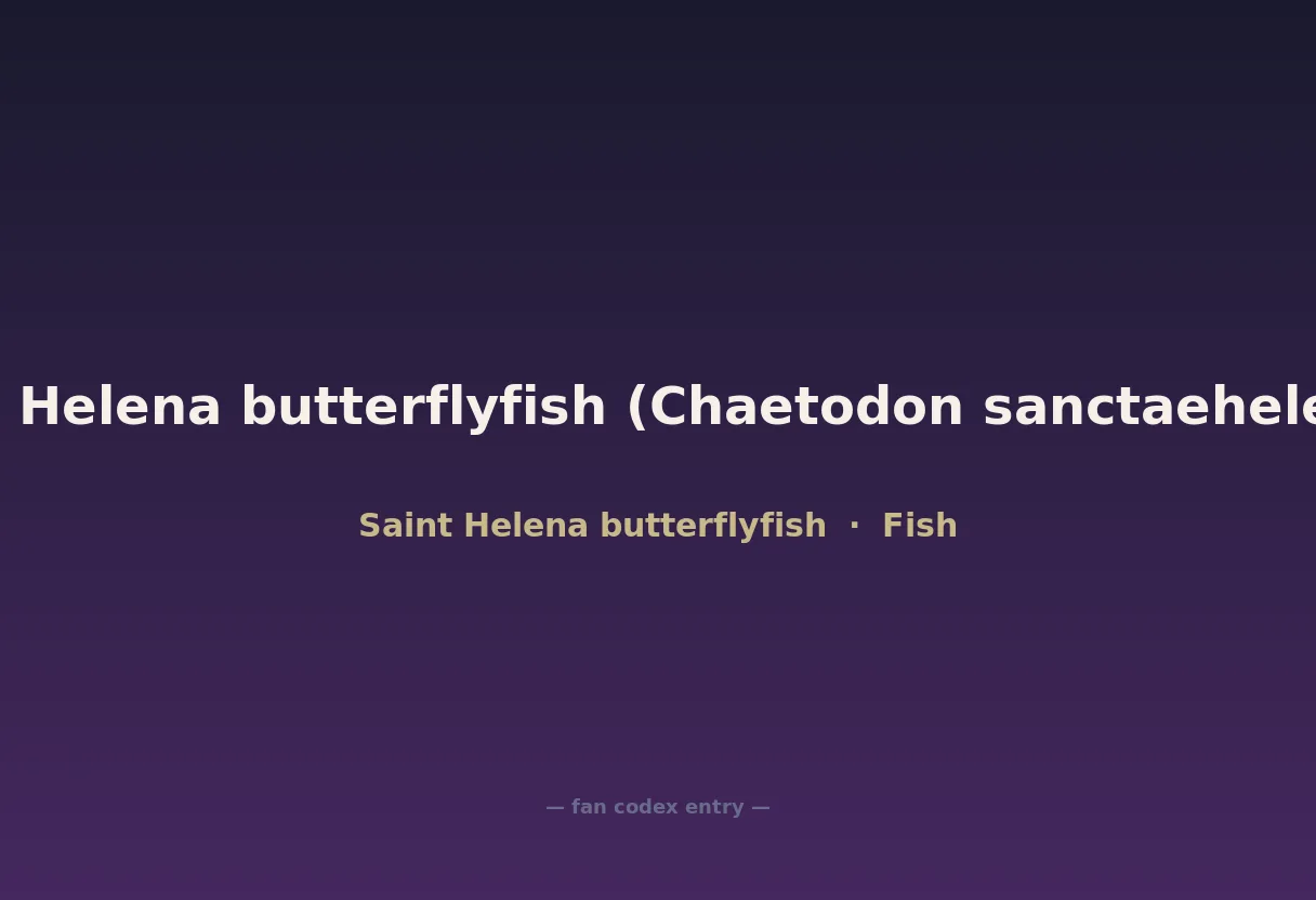 Saint Helena butterflyfish (Chaetodon sanctaehelenae)