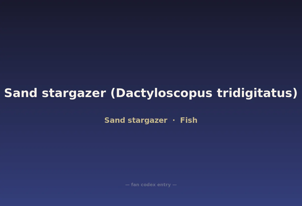 Sand stargazer (Dactyloscopus tridigitatus)