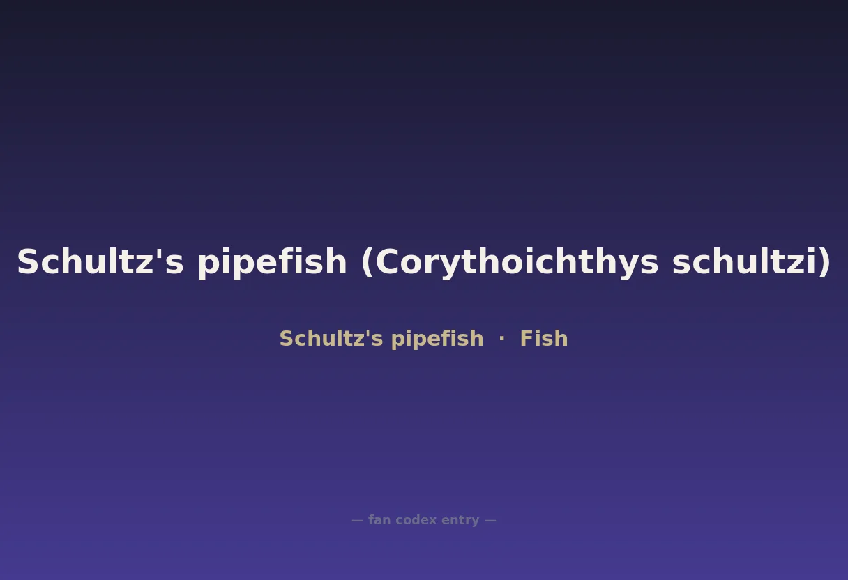 Schultz's pipefish (Corythoichthys schultzi)