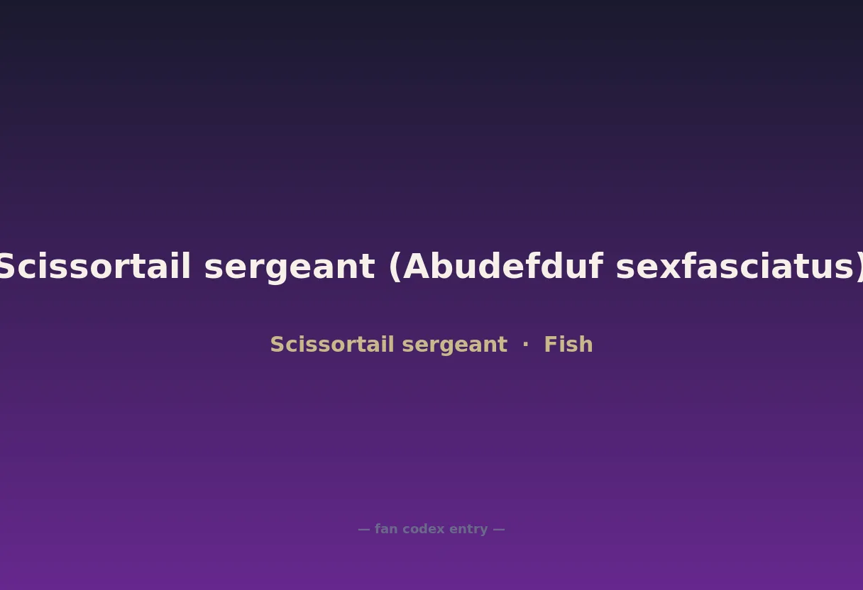 Scissortail sergeant (Abudefduf sexfasciatus)