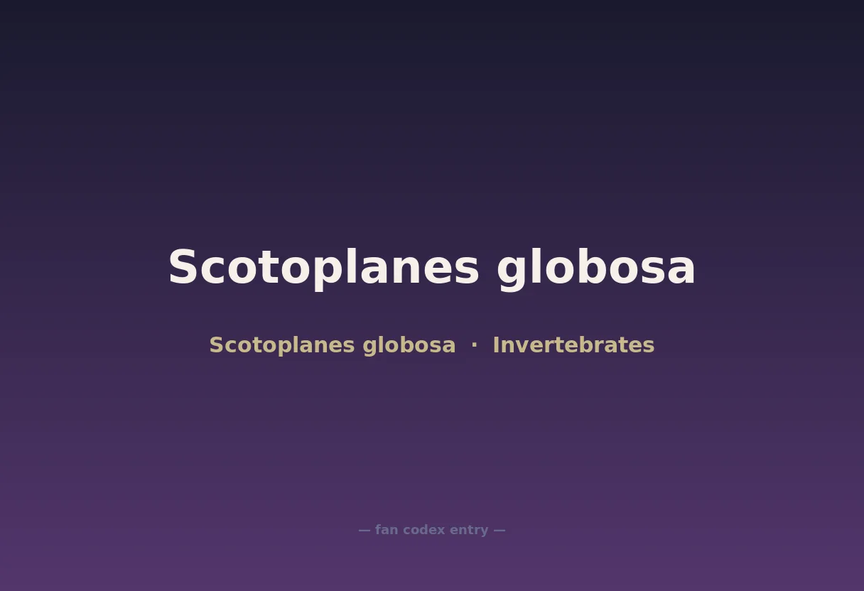 Scotoplanes globosa