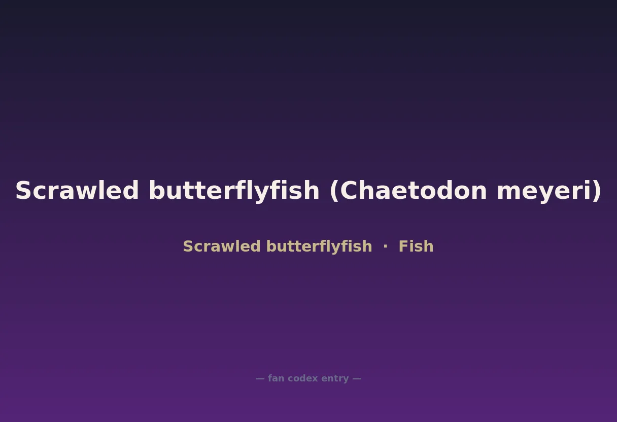 Scrawled butterflyfish (Chaetodon meyeri)