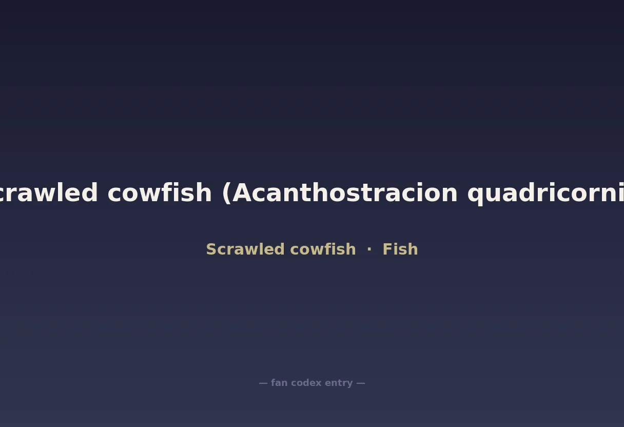 Scrawled cowfish (Acanthostracion quadricornis)