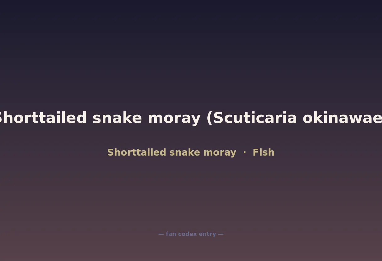 Shorttailed snake moray (Scuticaria okinawae)