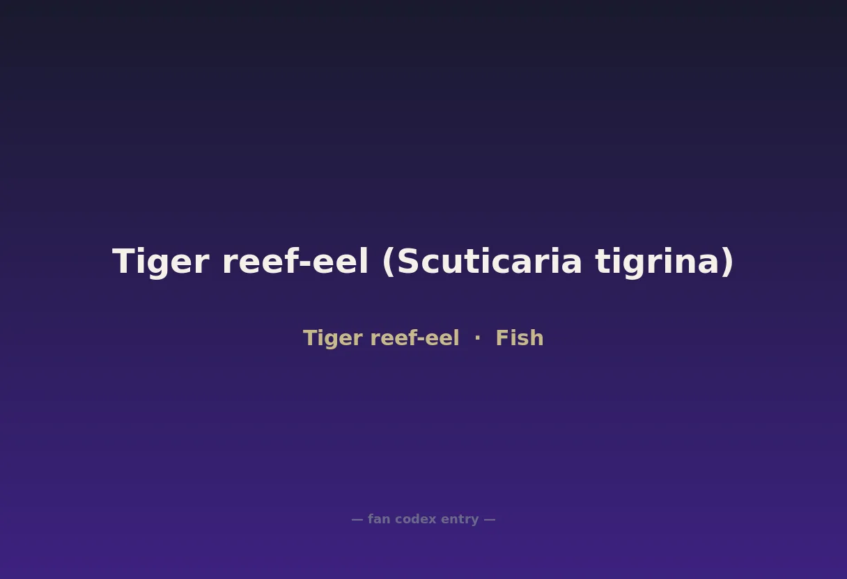 Tiger reef-eel (Scuticaria tigrina)