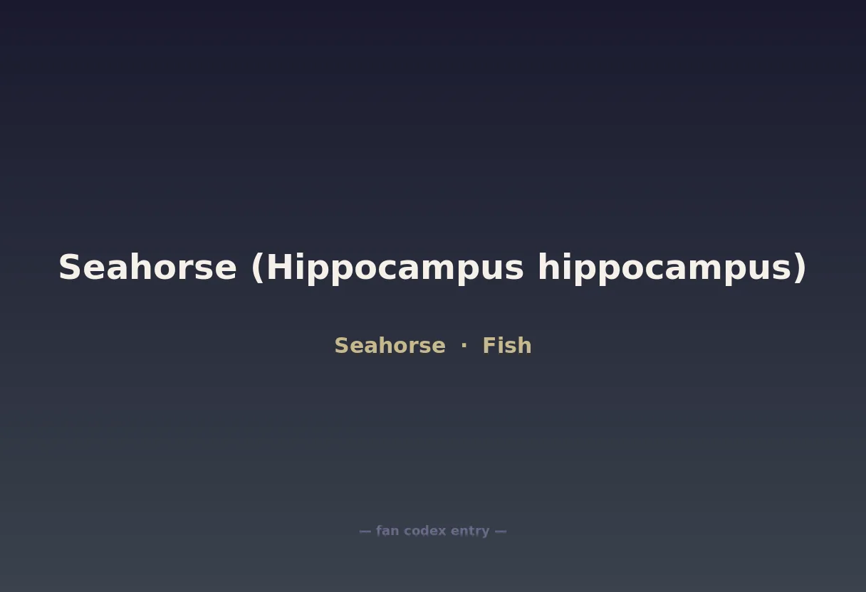 Seahorse (Hippocampus hippocampus)