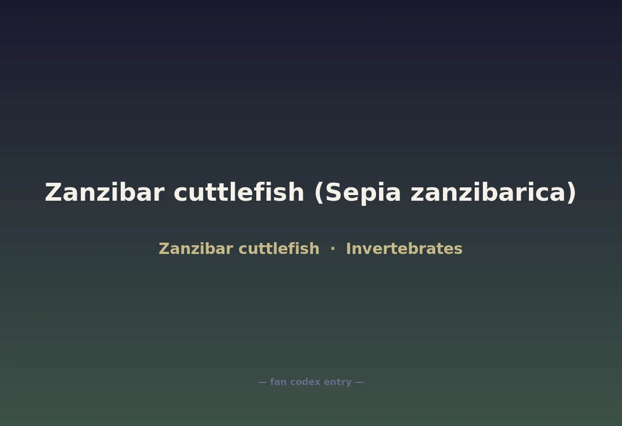 Zanzibar cuttlefish (Sepia zanzibarica)