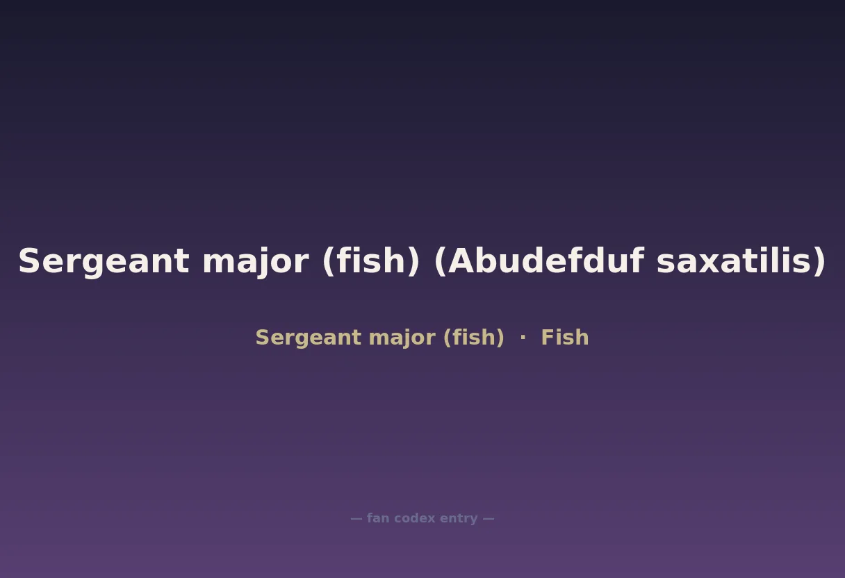 Sergeant major (fish) (Abudefduf saxatilis)