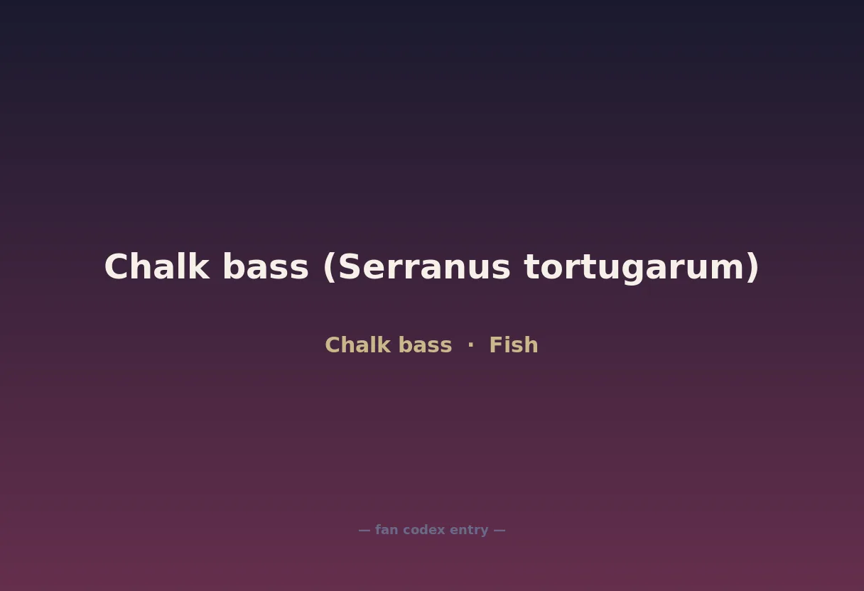 Chalk bass (Serranus tortugarum)