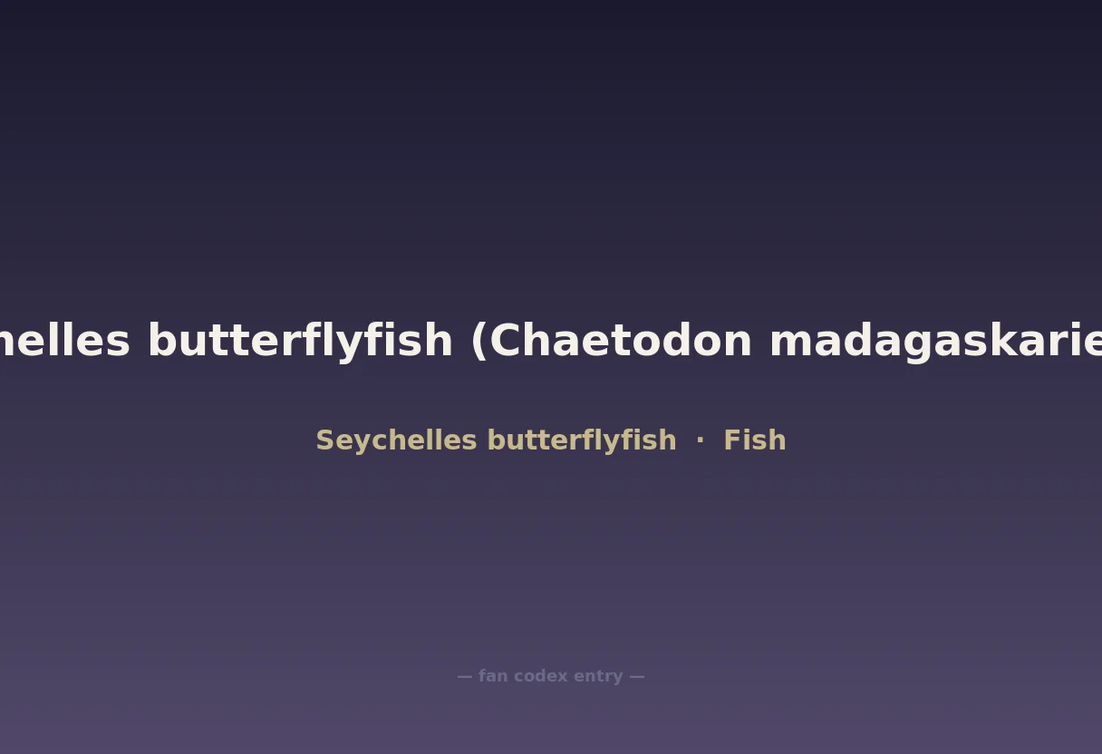 Seychelles butterflyfish (Chaetodon madagaskariensis)