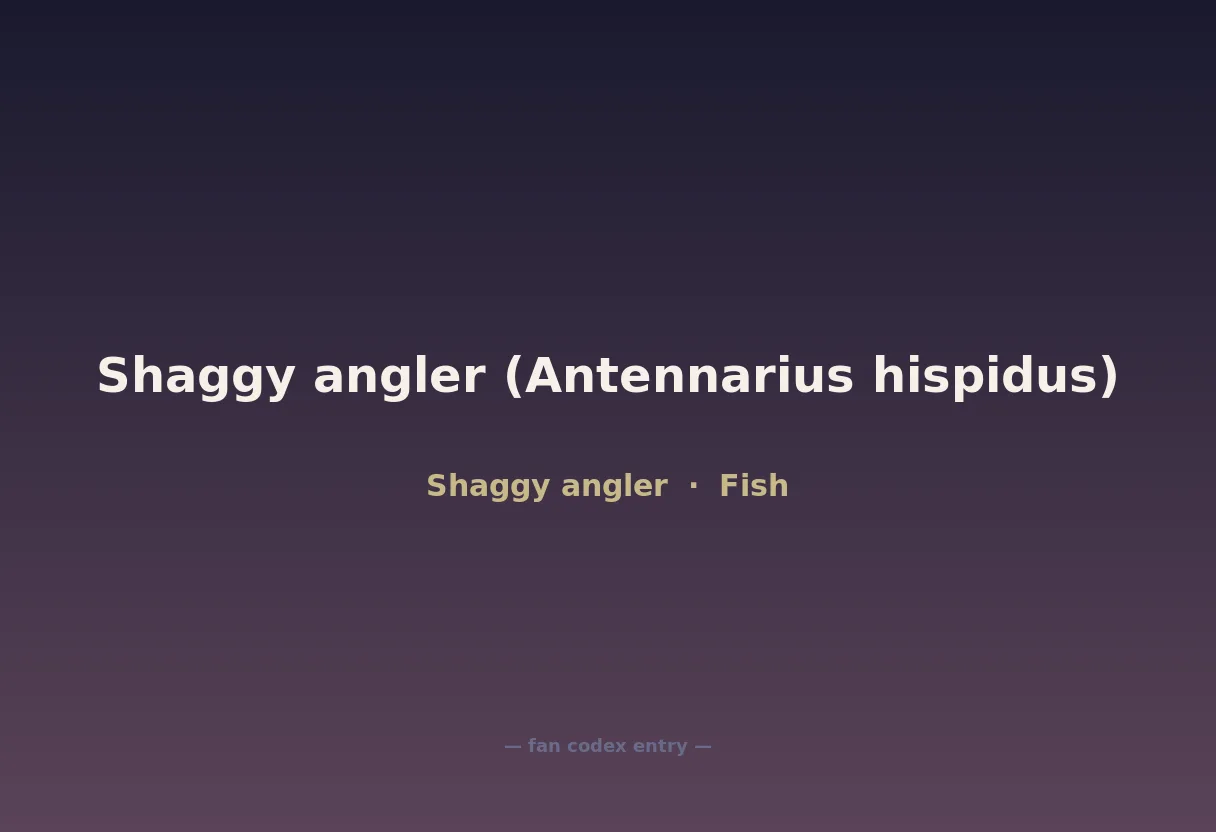 Shaggy angler (Antennarius hispidus)