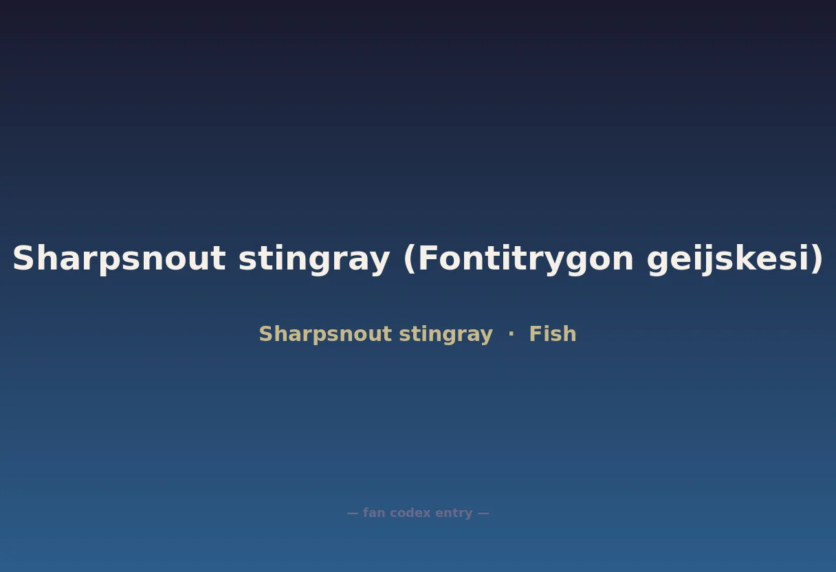 Sharpsnout stingray (Fontitrygon geijskesi)