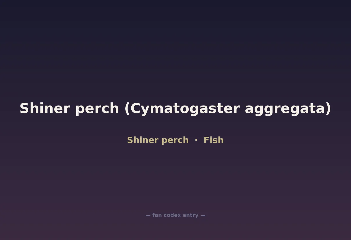 Shiner perch (Cymatogaster aggregata)