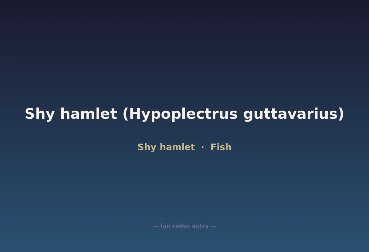 Shy hamlet (Hypoplectrus guttavarius)