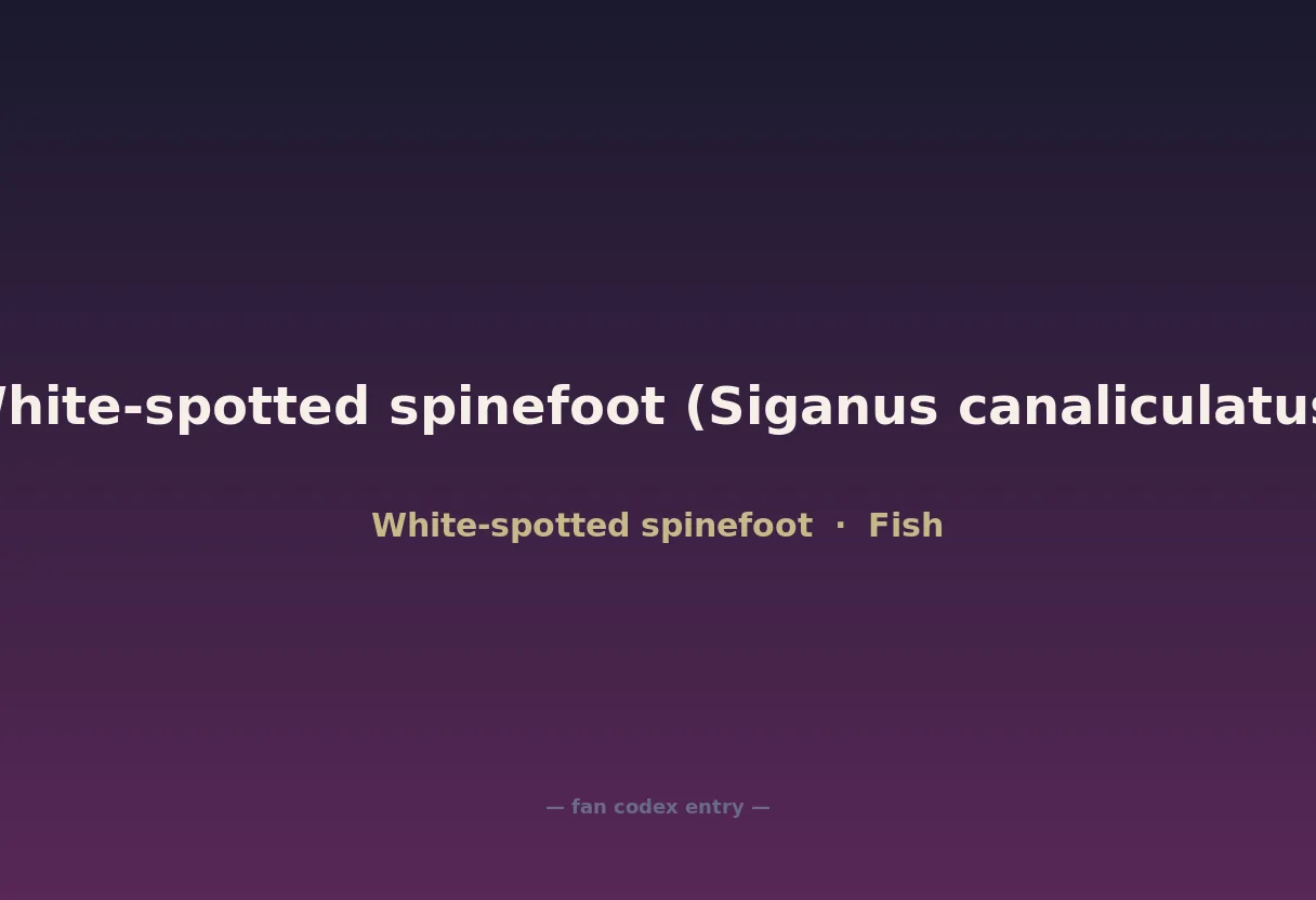 White-spotted spinefoot (Siganus canaliculatus)