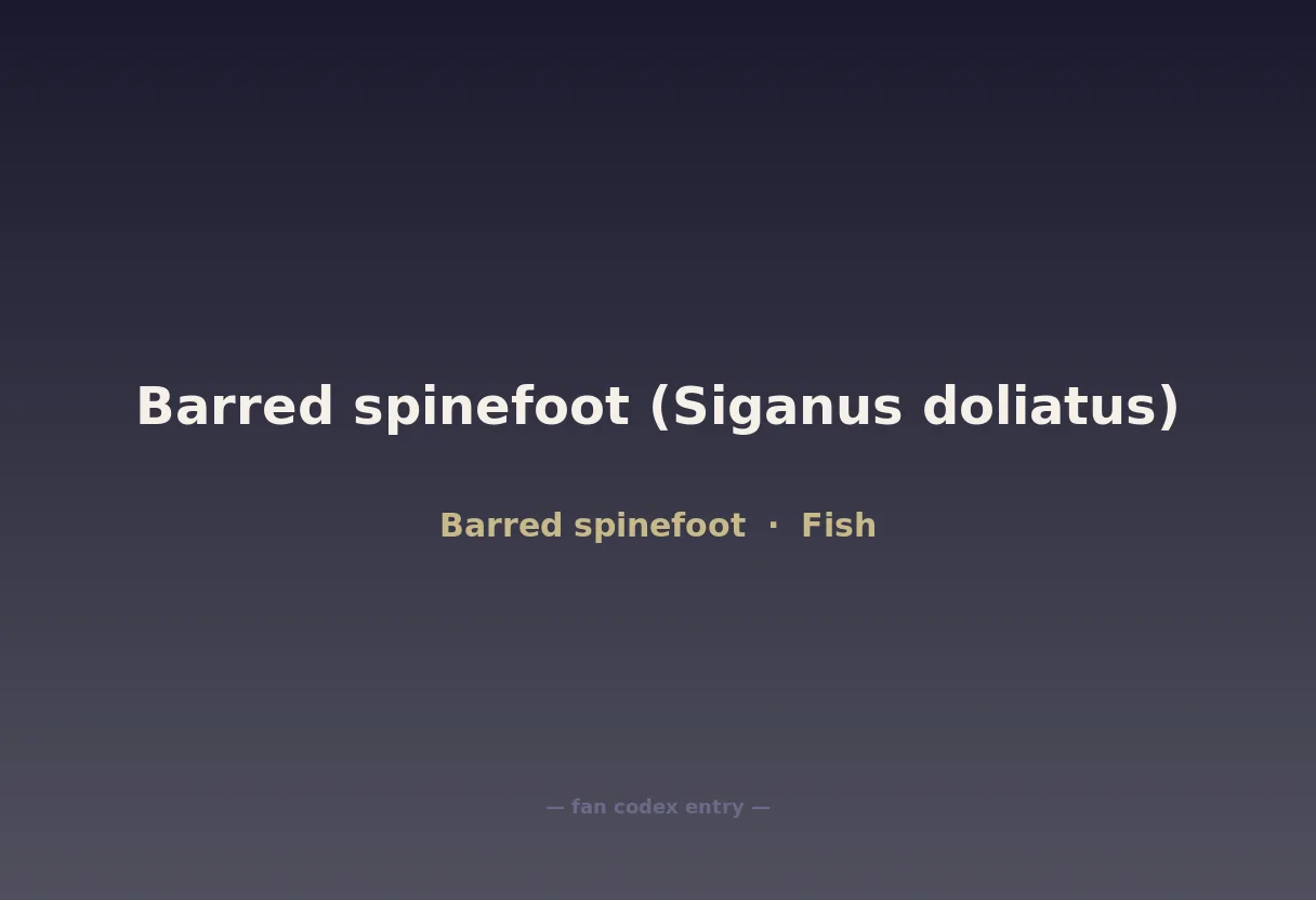 Barred spinefoot (Siganus doliatus)